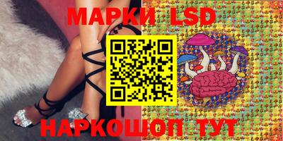 стаф Бугуруслан