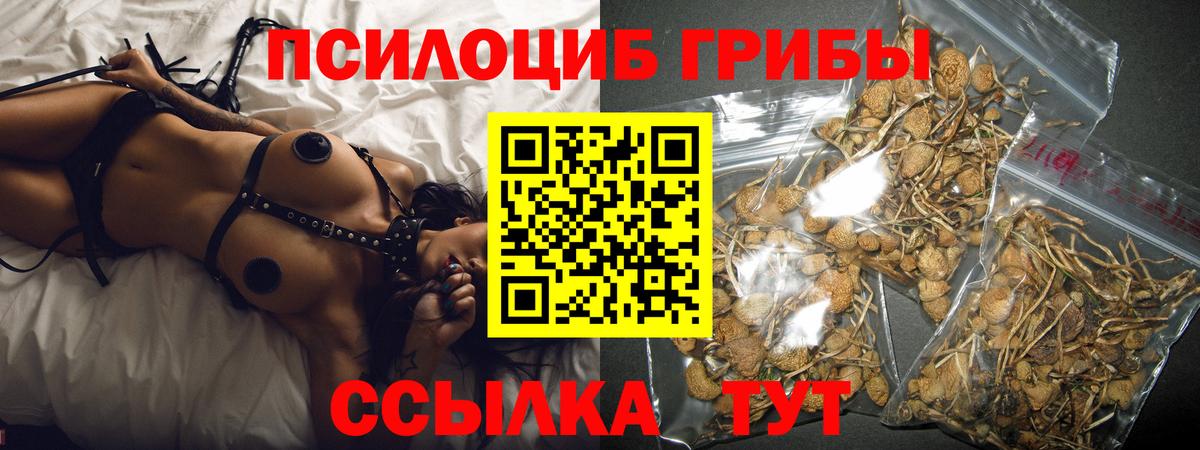 Псилоцибиновые грибы мухоморы Пермь