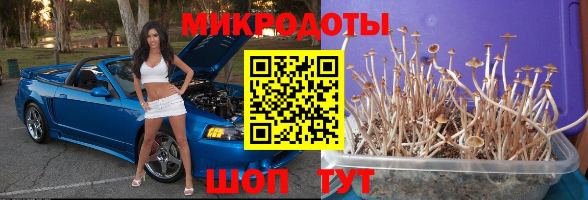 Пермь  Псилоцибиновые грибы мухоморы  Вход с VPN 